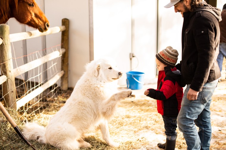 Photographer Amy Elizabeth Birdsong Photography Colorado Photographer-7490